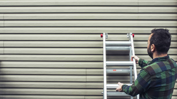 Affordable siding repair and maintenance services in Vandercook Lake, MI